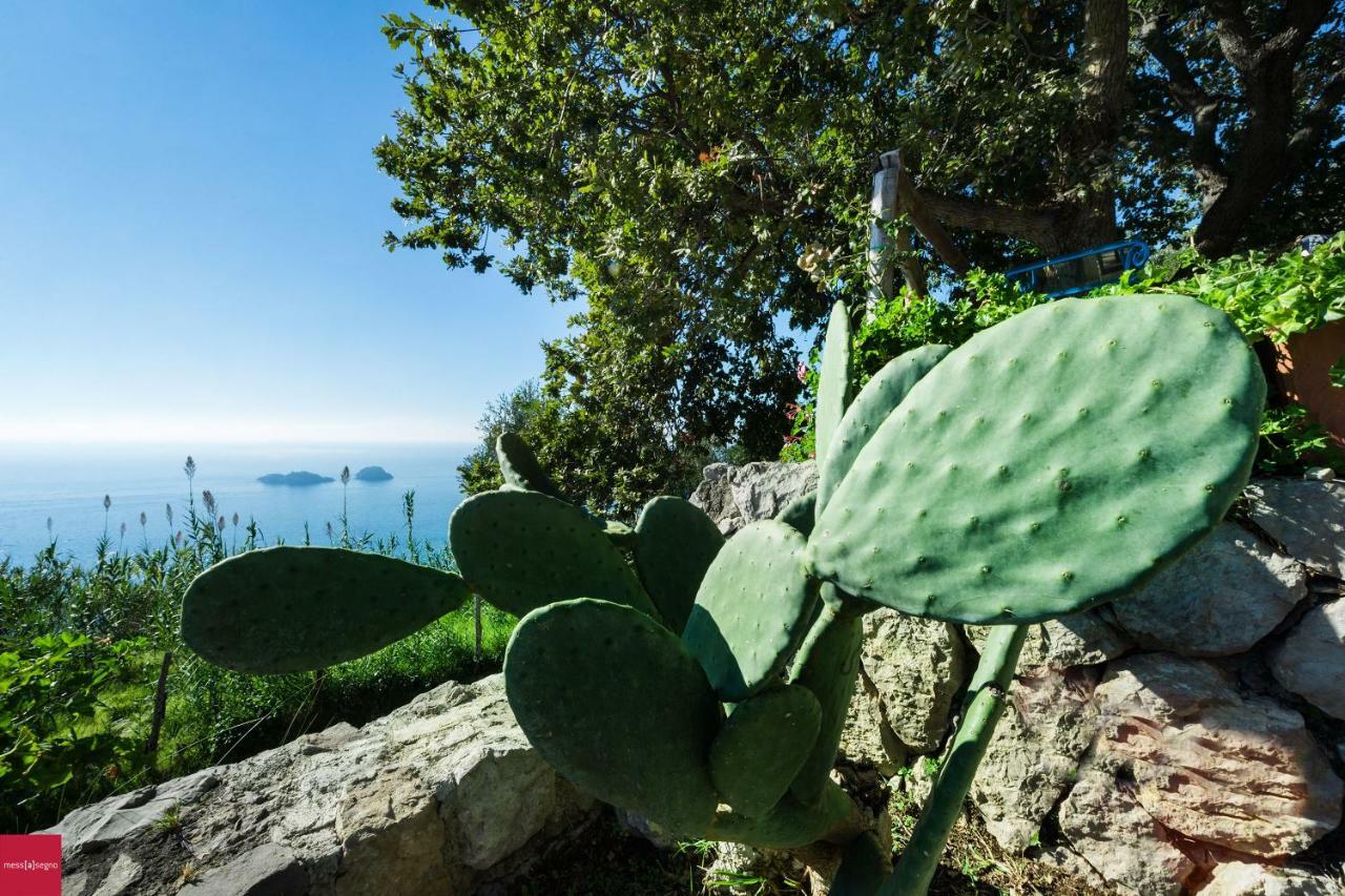 Il Nibbio Apartman Piano di Sorrento Kültér fotó