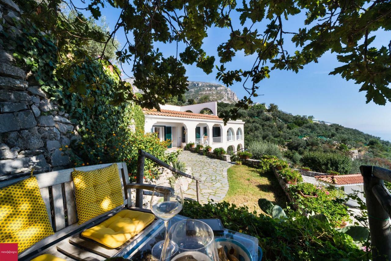 Il Nibbio Apartman Piano di Sorrento Kültér fotó