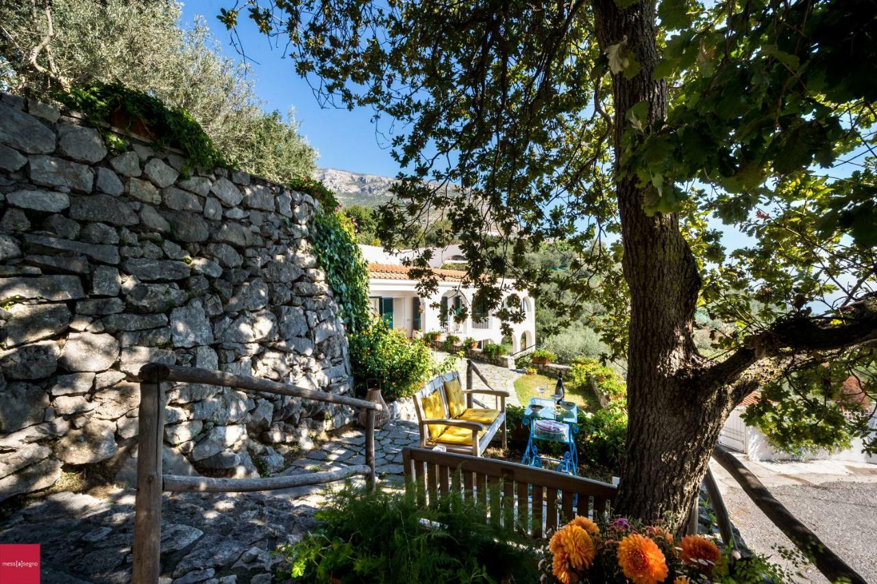 Il Nibbio Apartman Piano di Sorrento Kültér fotó