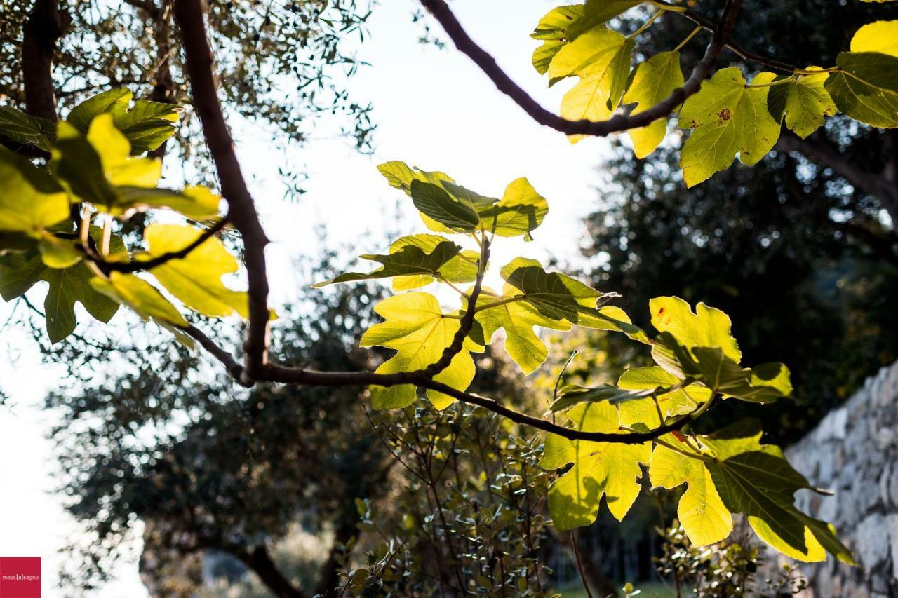 Il Nibbio Apartman Piano di Sorrento Kültér fotó