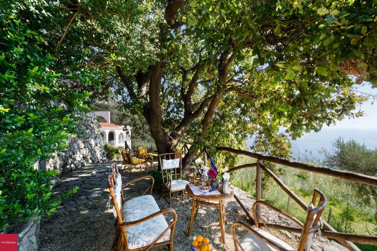 Il Nibbio Apartman Piano di Sorrento Kültér fotó